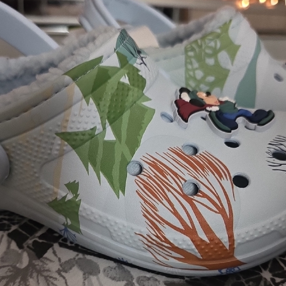 Disney Winter Theme - Picture 4 of 12